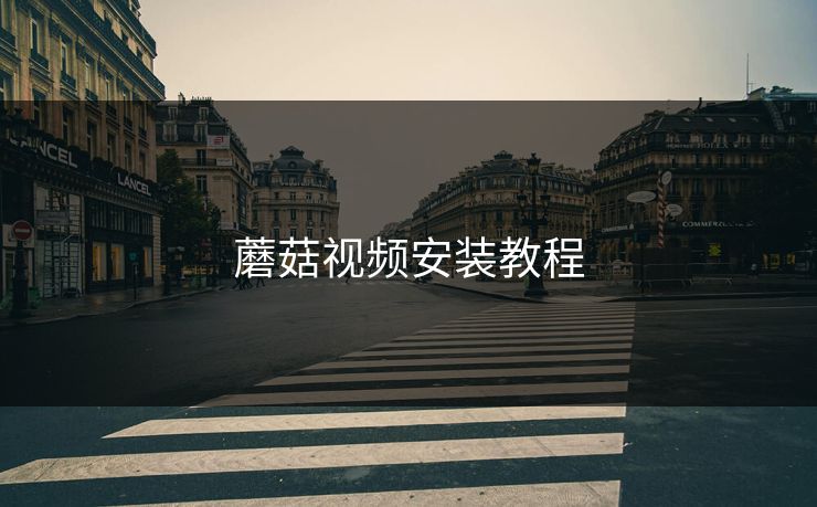 蘑菇视频安装教程
