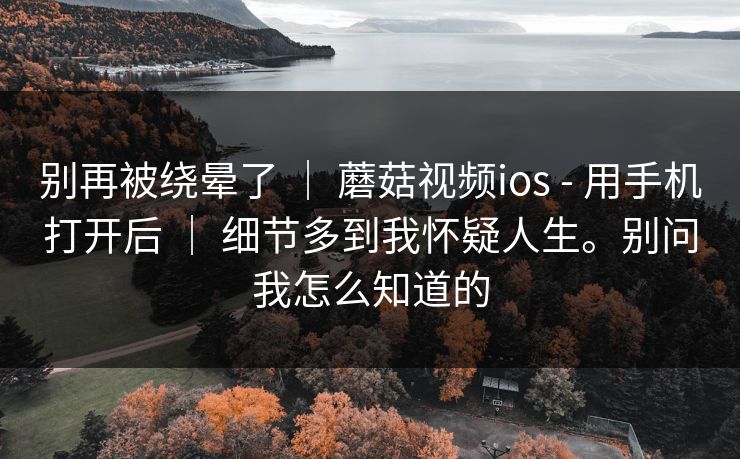 别再被绕晕了 ｜ 蘑菇视频ios - 用手机打开后 ｜ 细节多到我怀疑人生。别问我怎么知道的